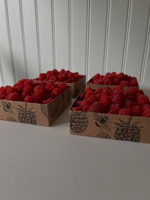 Färska ekologiska hallon i askar från Drumla, Rogsta Hudiksvall